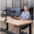Ramię na 2 monitory Reflex Fellowes